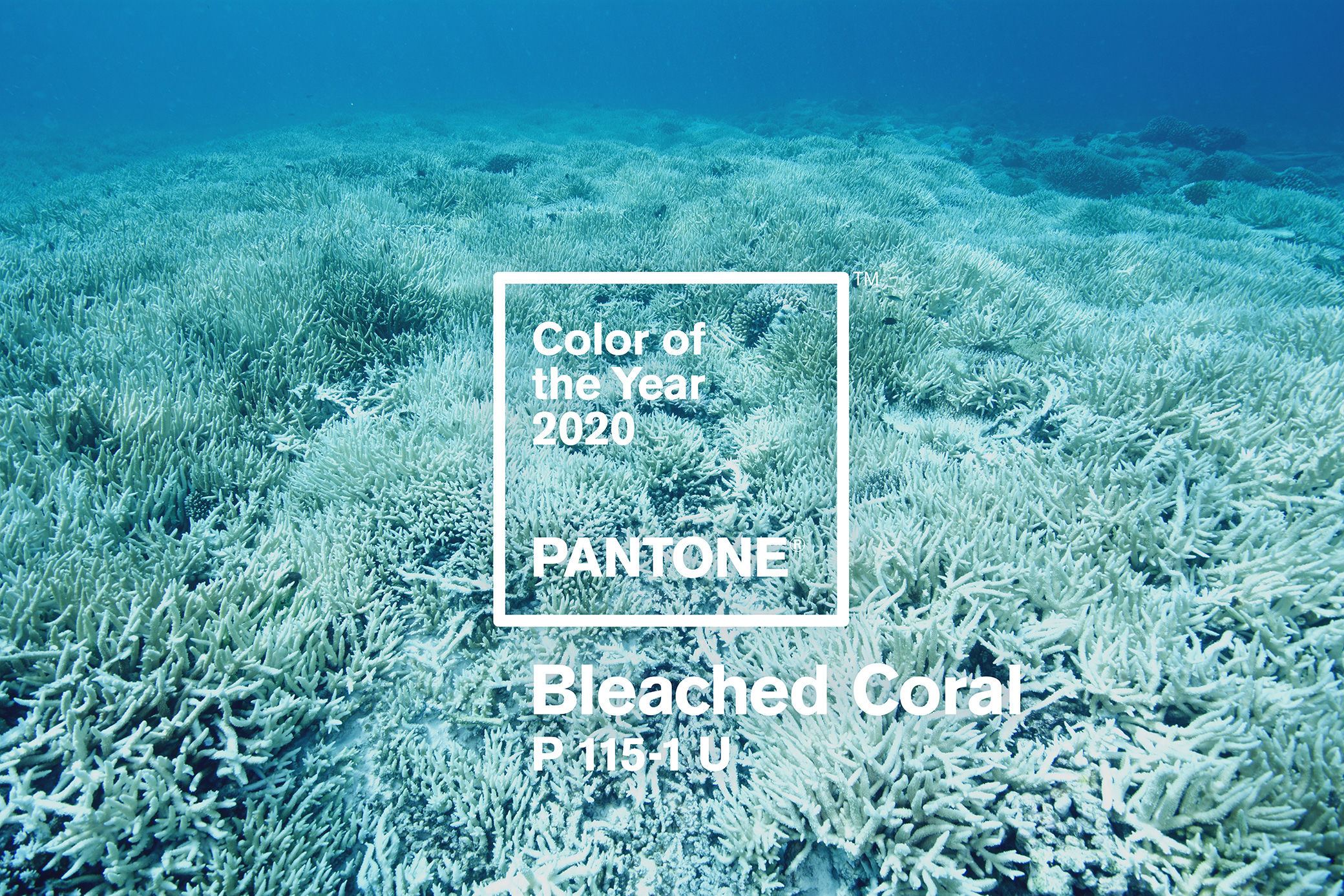 The Pantone Colour of the Year 2020 will be “Bleached Coral”