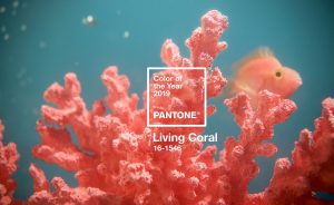 The Pantone Colour of the Year 2019 is “Living Coral”